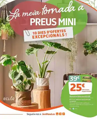 Jardiland Monstera deliciosa ecloz oferta