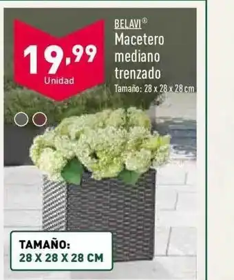 ALDI Belavi macetero mediano trenzado oferta
