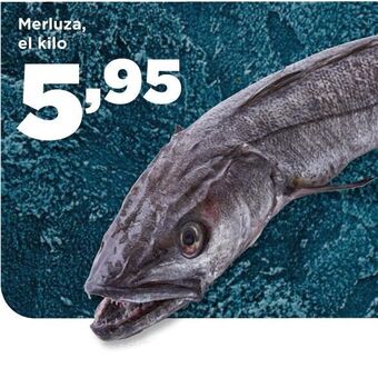 Alimerka Merluza oferta