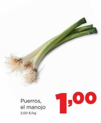 Alimerka Puerros el manojo oferta