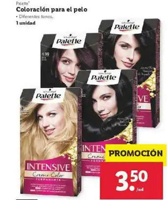 Lidl Palette Coloración Para El Pelo 1 Unidad oferta