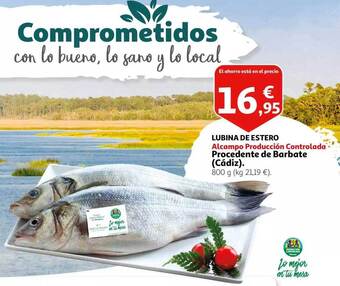 Alcampo Lubina de estero oferta