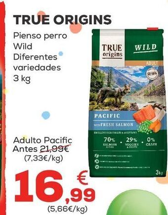 Kiwoko Pienso para perros oferta