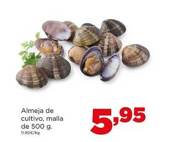 Alimerka Almeja de cultivo malla oferta