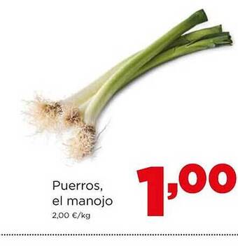Alimerka Puerros el manojo oferta
