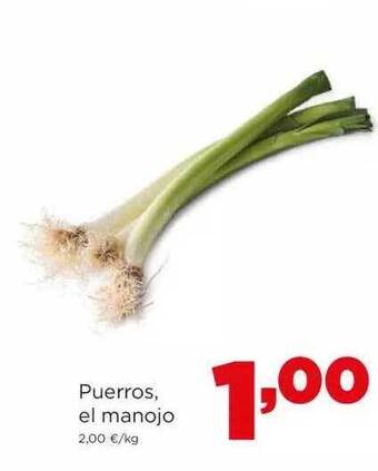 Alimerka Puerros el manojo oferta