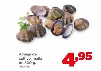 Alimerka Almeja de cultivo malla oferta