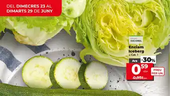 Dia Iceberg Enciam oferta