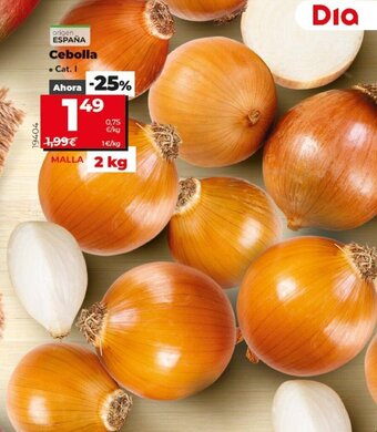 Dia Cebolla oferta