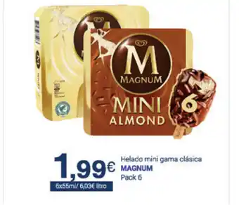 Supermercados Plaza Magnum Helado mini gama clásica pack 6 oferta