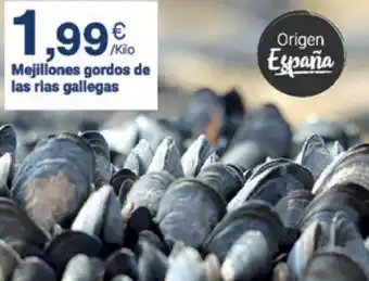Supermercados Plaza Mejillones gordos de las rias gallegas oferta