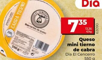 Maxi Dia Queso tierno dia oferta