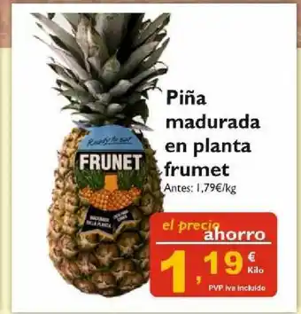 Cash Ecofamilia Frunet Piña Madurada En Planta oferta