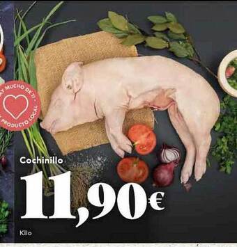 Gadis Cochinillo oferta