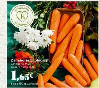 Gadis Zanahoria ecológica oferta