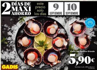 Gadis Vieira del pacifico grande oferta