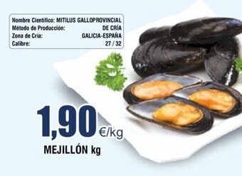 FROIZ Mejillón oferta