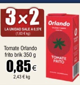 FROIZ Tomate Orlando Frito Brik 350 g oferta