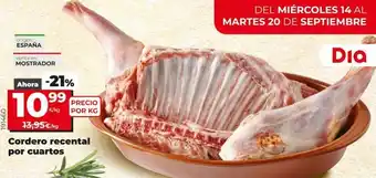 Maxi Dia Cordero oferta