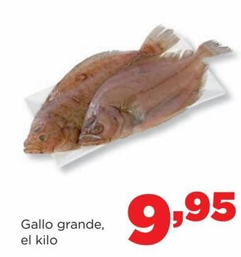 Alimerka Gallo grande., el kilo oferta