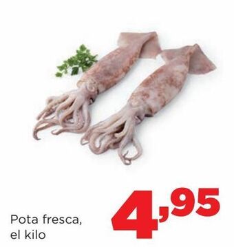 Alimerka Pota fresca, el kilo oferta