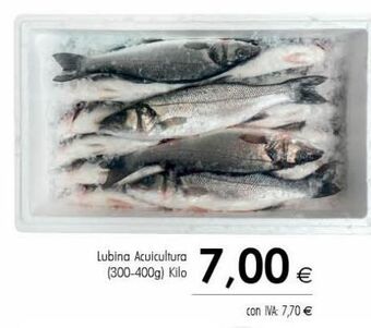 Cash Ifa Lubina oferta