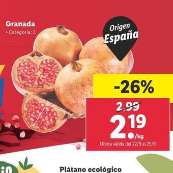 Lidl Granada oferta