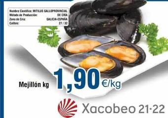 FROIZ Mejillón oferta