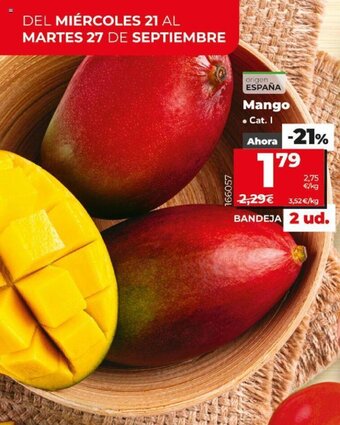 Dia Mango oferta