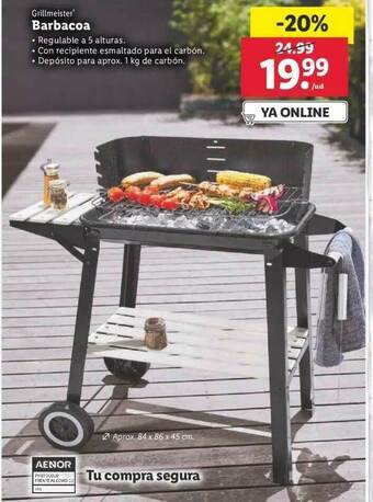 Lidl Grillmeister Barbacoa oferta
