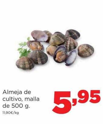 Alimerka Almeja de cultivo malla oferta