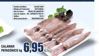 FROIZ Calamar patagónico kg oferta