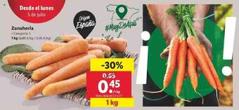 Lidl Zanahoria 1kg oferta