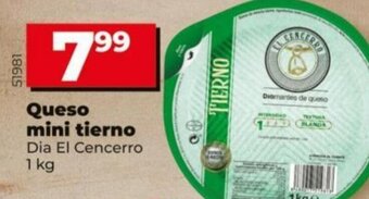 Dia Queso Mini Tierno oferta
