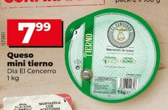 Dia Queso Mini tierno oferta