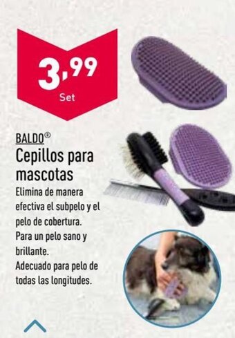 ALDI Baldo Cepillos para mascotas oferta