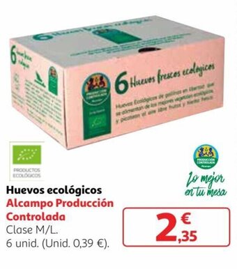 Alcampo Huevos ecológicos oferta