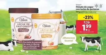 Lidl GALATELLI gelado de yogur con leche de pastoreo oferta