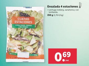 Lidl Ensalada 4 estaciones oferta
