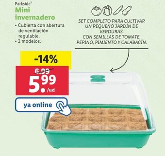 Lidl Mini invernadero oferta