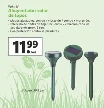 Lidl Ahuyentador solar de topos oferta