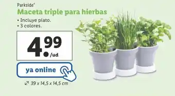 Lidl Maceta triple para hierbas oferta
