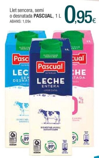 Condis Pascual oferta