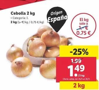 Lidl Cebolla 2kg oferta
