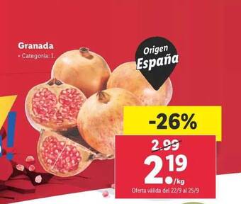 Lidl Granada oferta