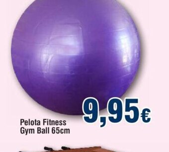 FROIZ Pelota Fitness Gym Ball 65cm oferta