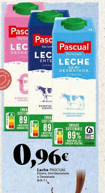 Gadis Leche pascual oferta