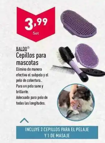 ALDI Baldo cepillos para mascotas oferta