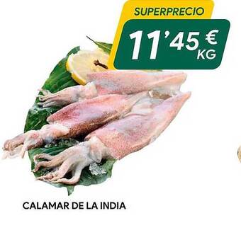 Masymas Calamar de la india oferta