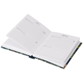Action Agenda anual 2023 oferta